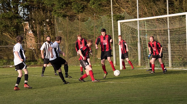 和可信的商 和可信的商