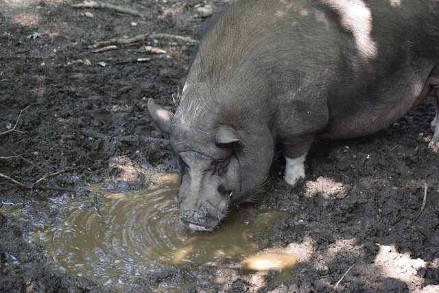 充分准备 充分准备