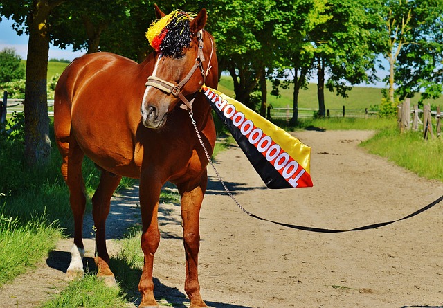 但面对压力 但面对压力